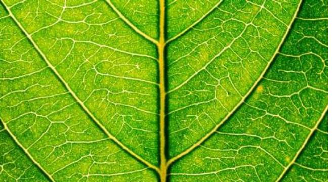 Savills Earth