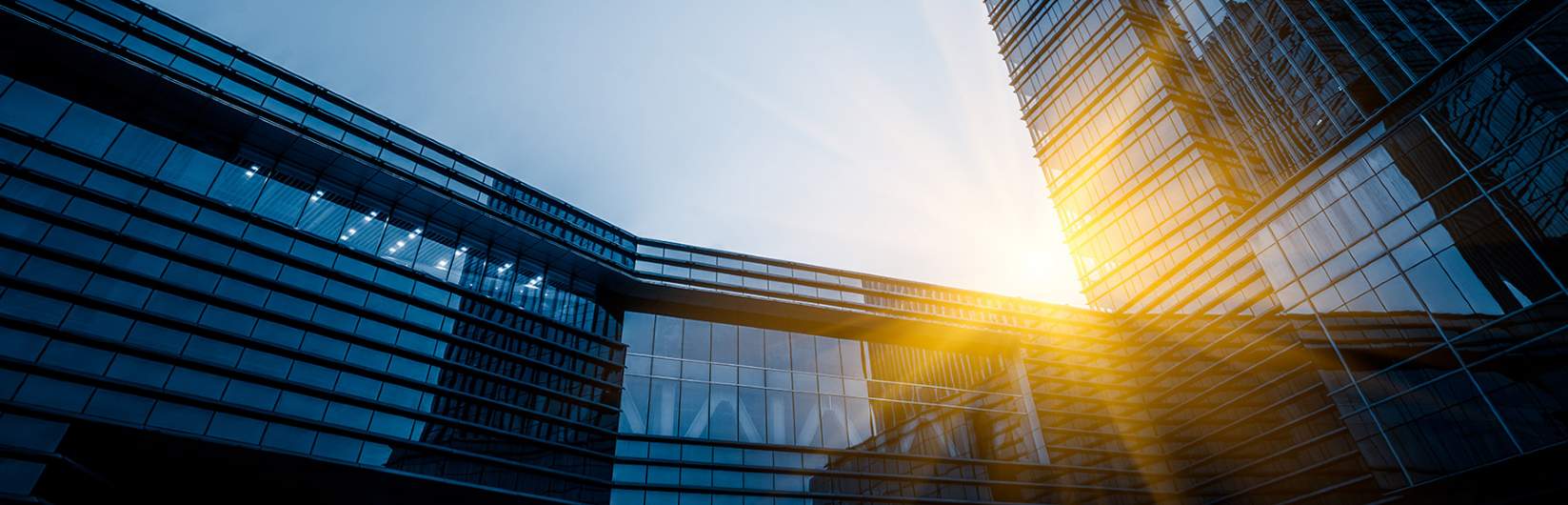 Savills Sustainability Savills Sustainability